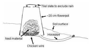 Bumblebee Nest Design